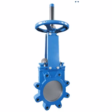 ANSI/API/ASTM/ASME/Wcb Flange Ball Globe Check Butterfly Gate Valve